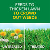 Scotts® Turf Builder® Weed & Feed (4000 sq. ft.)