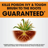 Roundup® Poison Ivy Plus Tough Brush Killer₂ with Comfort Wand®