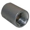 Stainless Steel Pipe Coupling, 3/8-In.
