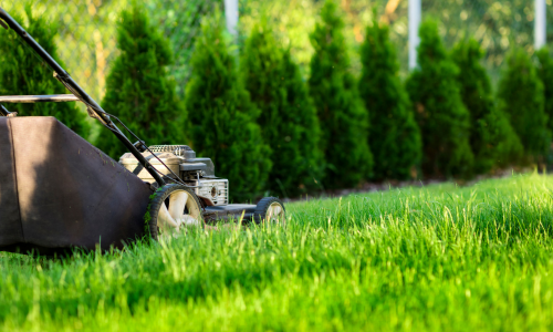 Lawn mower cutting grass