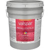 Valspar® Medallion® Plus Exterior Paint + Primer Semi-Gloss 5 Gallon Pastel Base (5 Gallon, Pastel Base)