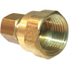 Lasco 1/4 In. C x 3/8 In. FPT Brass Compression Adapter