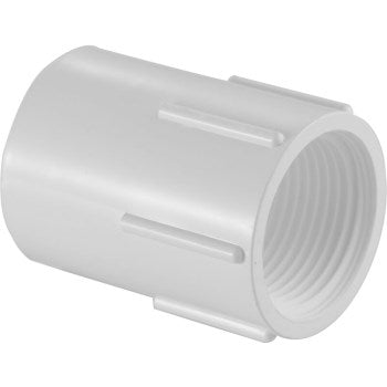 Lesso America Inc 435-101B Slip x fpt Adapter, Sch40 ~ 3/4