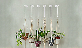 National Hardware Modern S Hook Large 8-in, White