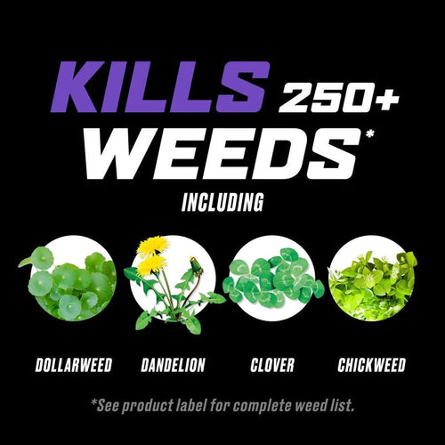 Ortho® WeedClear™ Lawn Weed Killer Ready-to-Spray₃ (South)