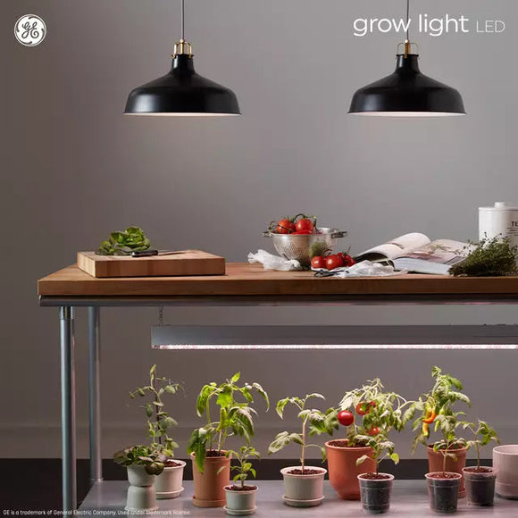 GE Grow LED Light Bulbs for Fruits and Flowering A19 Bulbs 9 Watts