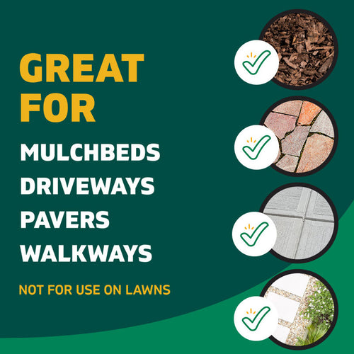 Spruce 24oz Spray Weed & Grass Killer