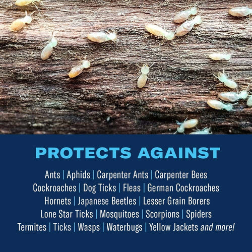 BioAdvanced Carpenter Ant & Termite Killer Plus Ready-To-Use