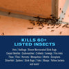BioAdvanced Home Pest Plus Germ Killer