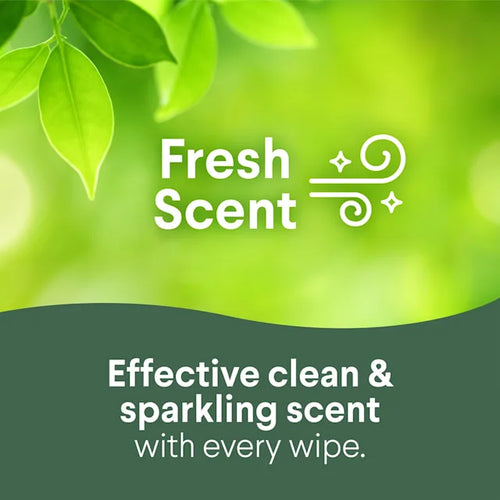 Clorox™ Disinfecting Cleaning Wipes~1~ To Go Pack Fresh Scent