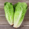 Bonnie Plants Clean and Fresh Green Romaine Lettuce (2 Pack)