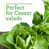 Bonnie Plants Clean and Fresh Green Romaine Lettuce (2 Pack)