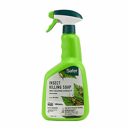 nature's care 24 oz. insecticidal soap Nature's Care Insecticidal Soap, 24-oz. Ready-to-Use - Hemet, CA