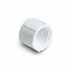 Genova Products Threaded Cap (FIP)