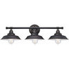 3-Light Wall Fixture, Bronze Finish