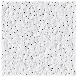 Fiberglass Ceiling Tile, Perforated, Taberet, 2 x 4-Ft. x 5/8-In.