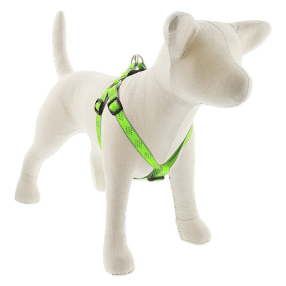 Lupine dog hot sale harness