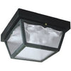 60-Watt 2-Light Black Porch Light