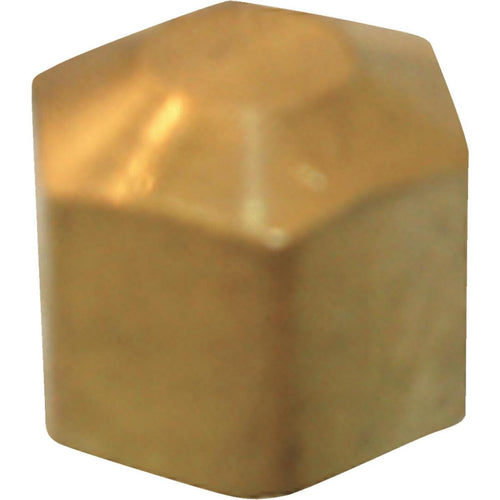 Lasco 5/16 In. Brass Compression Cap