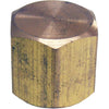 Lasco 1/8 In. Red Brass Threaded Pipe Cap