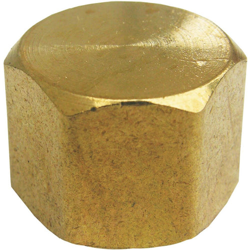 Lasco 3/8 In. Red Brass Threaded Pipe Cap