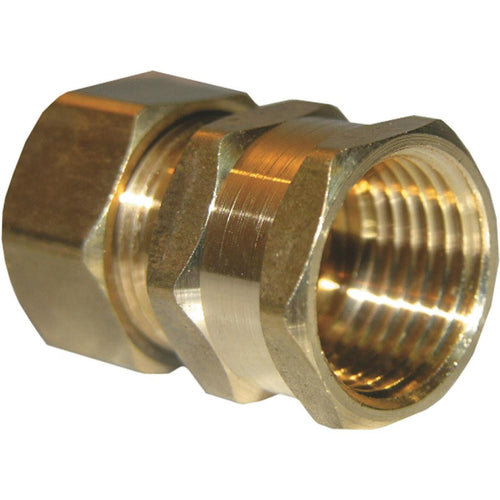 Lasco 5/8 In. C x 1/2 In. FPT Brass Compression Adapter