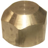 Lasco 1/2 In. Brass Flare Cap