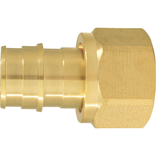 Conbraco 3/4 In. x 3/4 In. Brass Insert Fitting FSWVL Adapter Type A