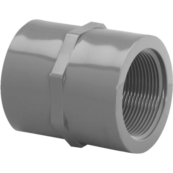 Charlotte Pipe 2 In. FIP x FIP PVC Coupling