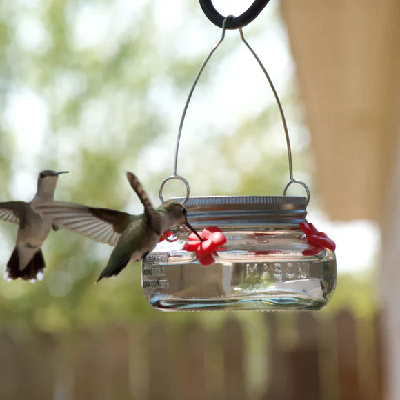 Nature's Way Mason Jar Hummingbird Feeder